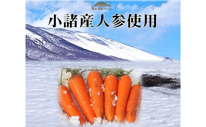 信州浅間ファーム・100％ジュース 3本セット（各500ml） 果汁飲料 林檎 リンゴ 