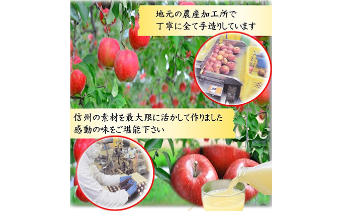 信州浅間ファーム・100％ジュース 3本セット（各500ml） 果汁飲料 林檎 リンゴ 