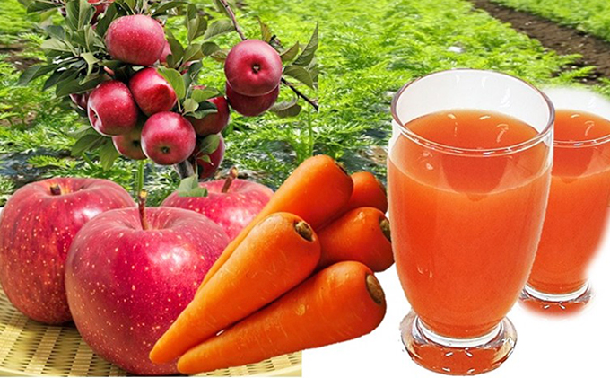 信州浅間ファーム・100％ジュース 3本セット（各500ml） 果汁飲料 林檎 リンゴ 