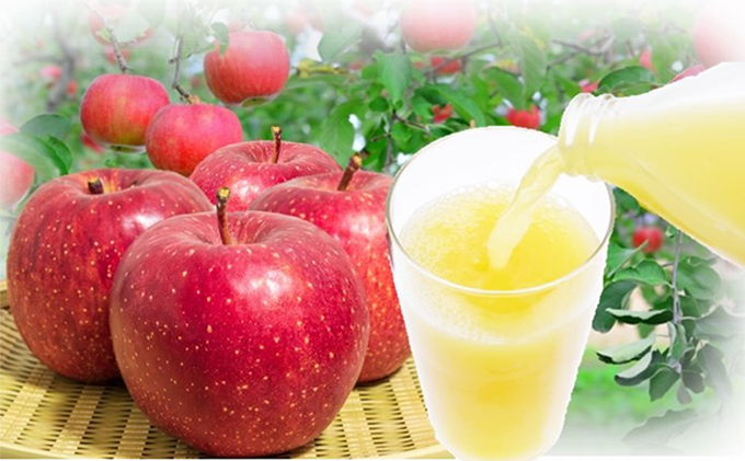 信州浅間ファーム・100％ジュース 2本セット（各500ml） 果汁飲料 林檎 リンゴ 