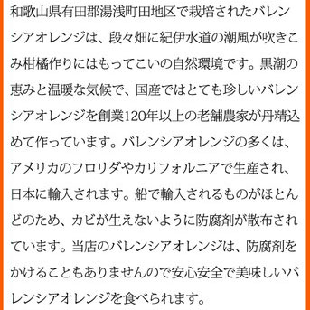 【ご家庭用訳あり】希少な国産バレンシアオレンジ 7kg ※2026年6月下旬～7月上旬頃に順次発送予定