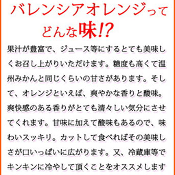 【ご家庭用訳あり】希少な国産バレンシアオレンジ 7kg ※2026年6月下旬～7月上旬頃に順次発送予定