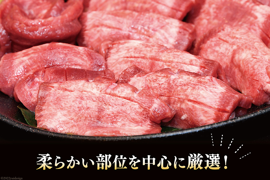 宮城県気仙沼市のふるさと納税 大人気！ 牛タン 厚切り牛タン 塩味 500g [モ～ランド 宮城県 気仙沼市 20564659] 肉 牛肉 精肉 牛たん 牛タン塩 牛たん塩 冷凍 焼肉 BBQ アウトドア バーベキュー 厚切り タン