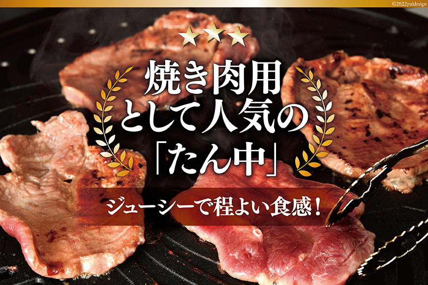 宮城県気仙沼市のふるさと納税 大人気！ 牛タン 厚切り牛タン 塩味 500g [モ～ランド 宮城県 気仙沼市 20564659] 肉 牛肉 精肉 牛たん 牛タン塩 牛たん塩 冷凍 焼肉 BBQ アウトドア バーベキュー 厚切り タン