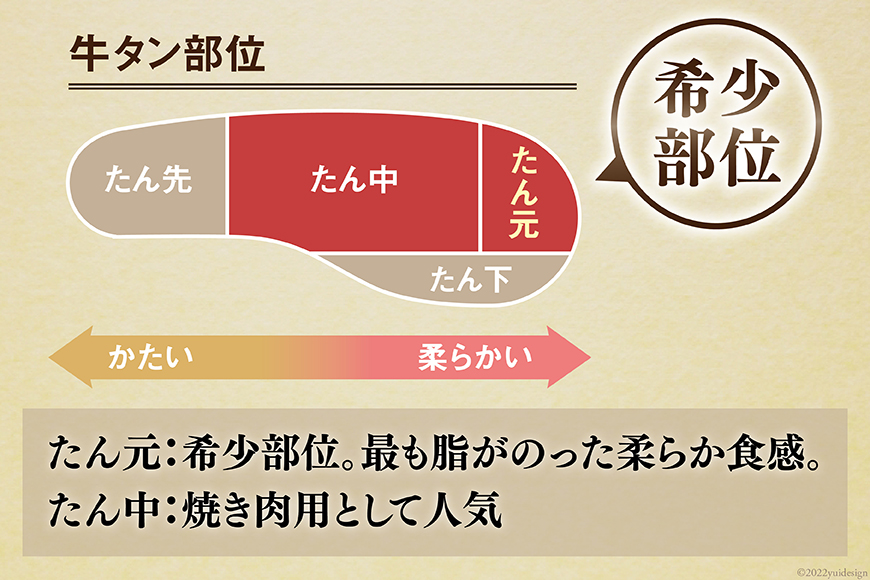 宮城県気仙沼市のふるさと納税 大人気！ 牛タン 厚切り牛タン 塩味 500g [モ～ランド 宮城県 気仙沼市 20564659] 肉 牛肉 精肉 牛たん 牛タン塩 牛たん塩 冷凍 焼肉 BBQ アウトドア バーベキュー 厚切り タン
