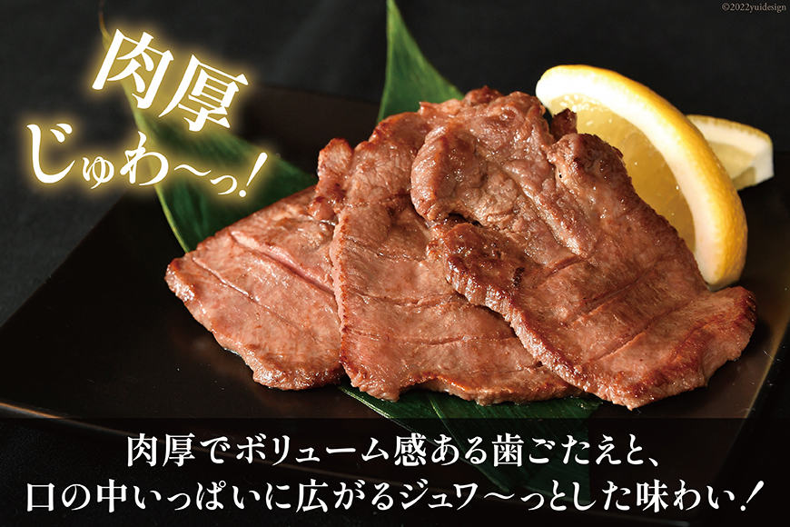 宮城県気仙沼市のふるさと納税 大人気！ 牛タン 厚切り牛タン 塩味 500g [モ～ランド 宮城県 気仙沼市 20564659] 肉 牛肉 精肉 牛たん 牛タン塩 牛たん塩 冷凍 焼肉 BBQ アウトドア バーベキュー 厚切り タン