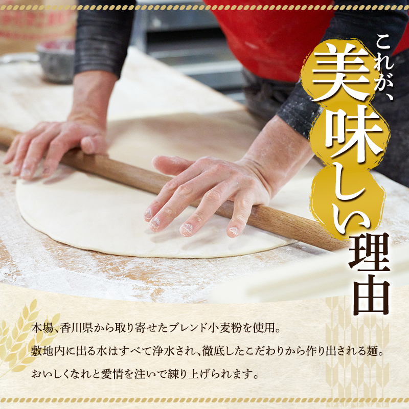 加西市で行列ができる『がいな製麺所』の 讃岐うどん セット こんぶ醤油付き （ 半生タイプ 讃岐 さぬき もっちり コシ 喉越し もちもち食感 ご当地 麺類 かけ 常温保存 有名店 人気店 老舗 製麺所 グルメ お取り寄せ ）