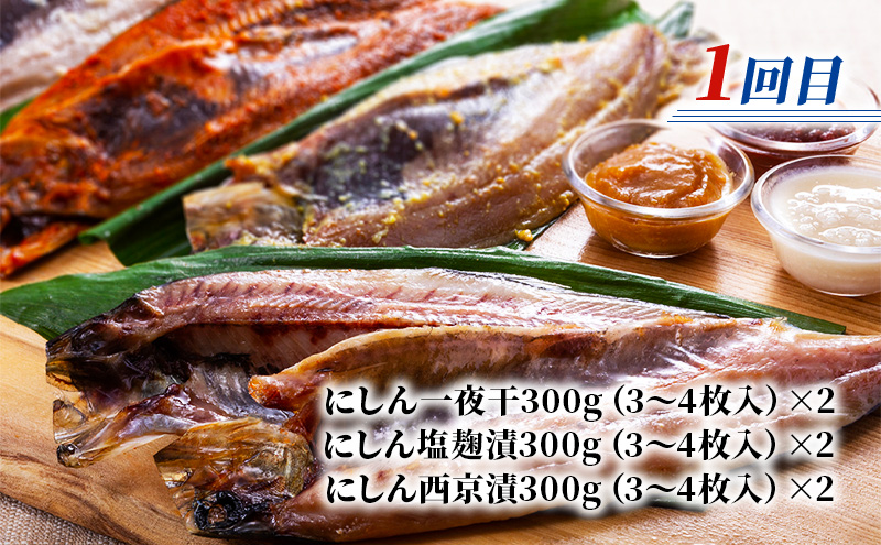 北海道枝幸町のふるさと納税 北隆丸 鮭・ブリ・ニシン3種の漬けセット【全3回定期便】【 干物 魚貝類 漬魚 味噌漬け 魚貝類 加工食品 北海道 オホーツク 枝幸 】