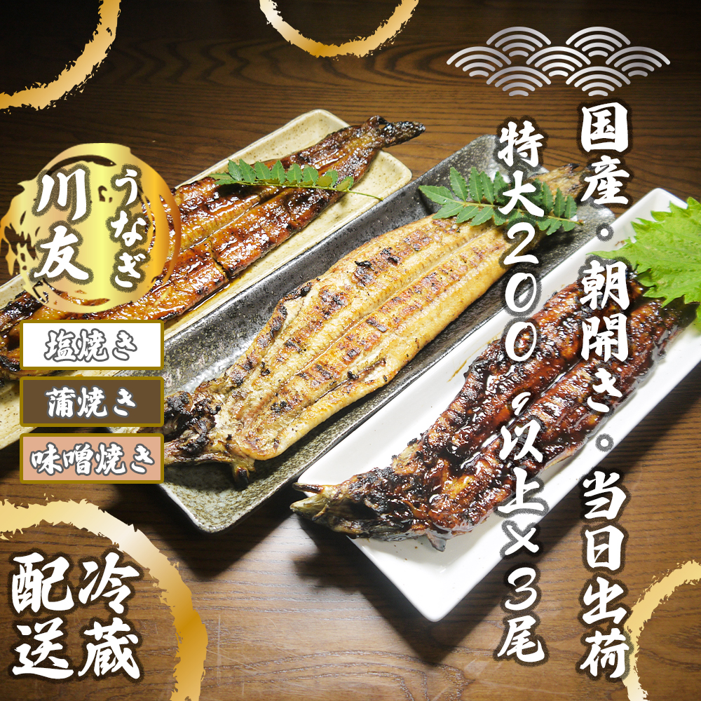 (美品)白石篤 多彩幾何文糠白釉飾皿 益子焼 陶器 飾皿 置物 陶芸 美品)白石篤 多彩幾何文糠白釉飾皿 益子焼 陶器 飾皿 置物 陶芸