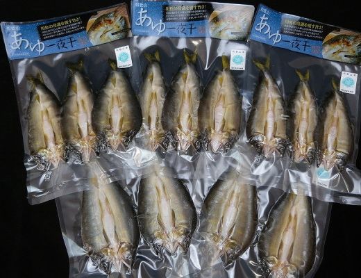 【大人気】「旨いはずです。」特選あゆ一夜干しセット（１３枚入）
※北海道・沖縄・離島へのお届け不可