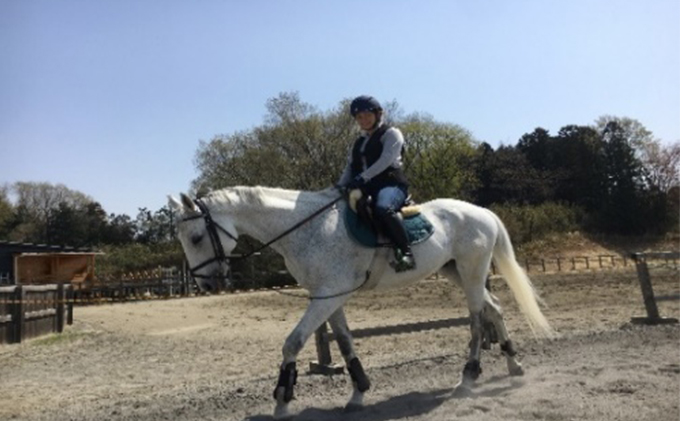 ステーブルホースパワー（乗馬クラブ用）クーポン券（15,000円分） 体験チケット スポーツ 趣味 ウマ 動物 