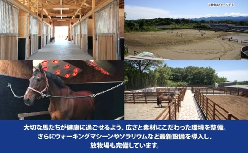 ステーブルホースパワー 乗馬クラブ クーポン券 6,000円分 体験チケット スポーツ 趣味 ウマ 馬 動物 体験乗馬 乗馬レッスン レジャー アウトドア 自然 ギフト 贈り物 埼玉県 鳩山町