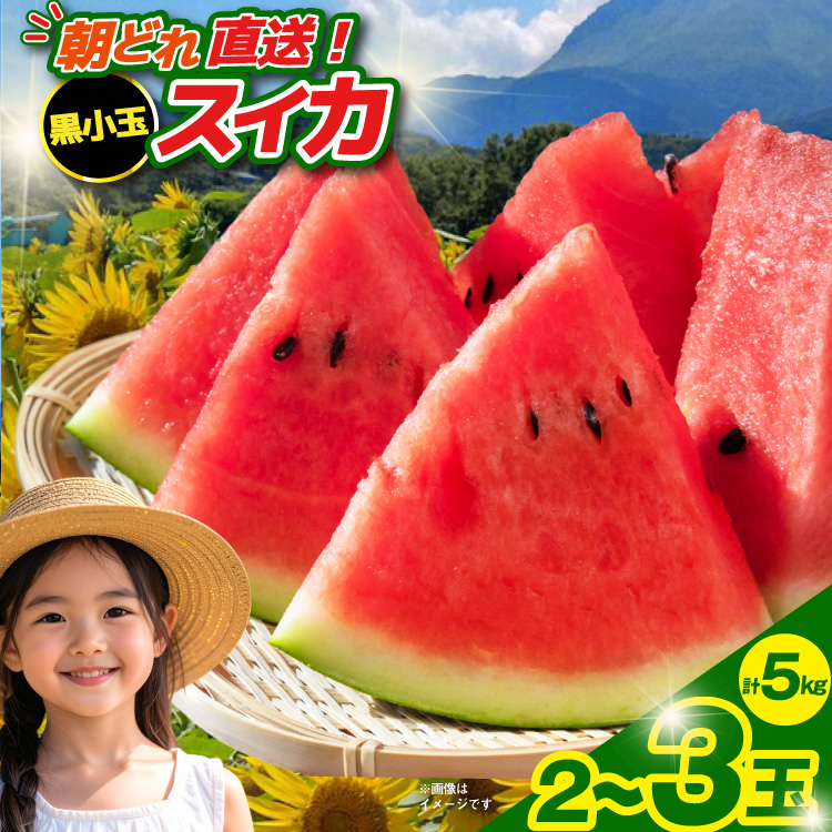 長崎県島原市のふるさと納税 【令和8年度出荷分】BE275 黒小玉スイカ「ひとりじめBonBon」 5kg(1.7kg以上×2～3玉) ～名水百選の里 島原産～ [ Bunkou Farms 島原 合同会社 島原市 BE275 ]