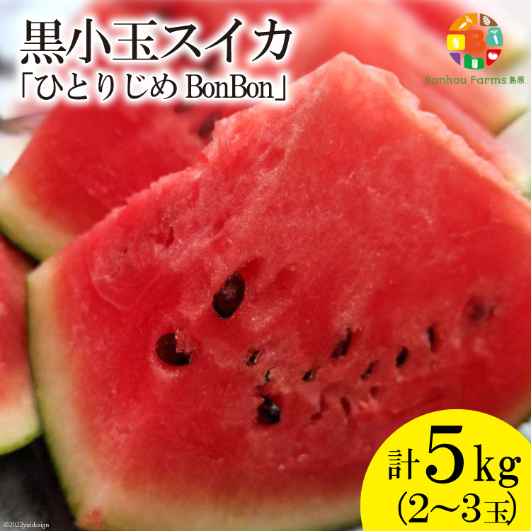 長崎県島原市のふるさと納税 【令和8年度出荷分】BE275 黒小玉スイカ「ひとりじめBonBon」 5kg(1.7kg以上×2～3玉) ～名水百選の里 島原産～ [ Bunkou Farms 島原 合同会社 島原市 BE275 ]