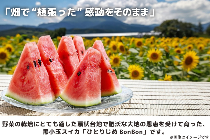 長崎県島原市のふるさと納税 【令和8年度出荷分】BE275 黒小玉スイカ「ひとりじめBonBon」 5kg(1.7kg以上×2～3玉) ～名水百選の里 島原産～ [ Bunkou Farms 島原 合同会社 島原市 BE275 ]