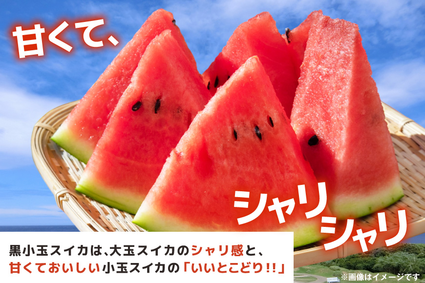 長崎県島原市のふるさと納税 【令和8年度出荷分】BE275 黒小玉スイカ「ひとりじめBonBon」 5kg(1.7kg以上×2～3玉) ～名水百選の里 島原産～ [ Bunkou Farms 島原 合同会社 島原市 BE275 ]