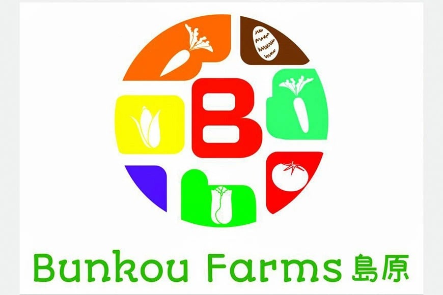 長崎県島原市のふるさと納税 【令和8年度出荷分】BE275 黒小玉スイカ「ひとりじめBonBon」 5kg(1.7kg以上×2～3玉) ～名水百選の里 島原産～ [ Bunkou Farms 島原 合同会社 島原市 BE275 ]