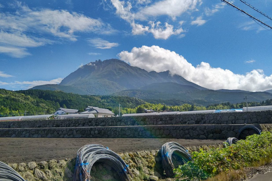 長崎県島原市のふるさと納税 【令和8年度出荷分】BE275 黒小玉スイカ「ひとりじめBonBon」 5kg(1.7kg以上×2～3玉) ～名水百選の里 島原産～ [ Bunkou Farms 島原 合同会社 島原市 BE275 ]