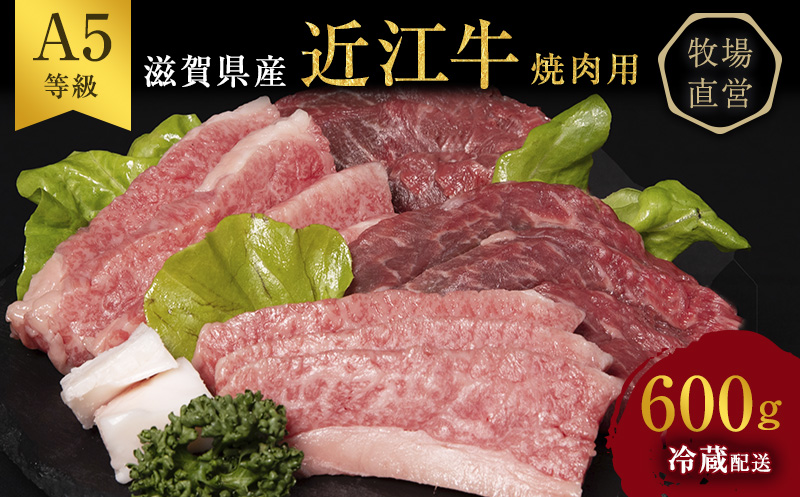 滋賀県豊郷町のふるさと納税 近江牛 焼肉 約600g A5 雌牛 モモ・カタ・ウデ・バラ系等 西川畜産 牛肉 黒毛和牛 焼き肉 焼肉用 肉 お肉 牛 和牛 ブランド牛