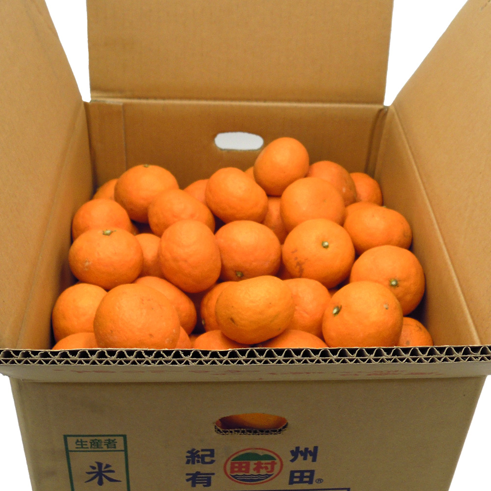 DN6014_【2026年先行予約】田村みかん 秀品 約 5kg 2Sサイズ 高級ブランド 田村みかん 小玉 みかん 温州みかん フルーツ 果物 柑橘 果汁 ジューシー 赤秀品 青秀品 国産 食品 食べ物 期間限定 お取り寄せ 和歌山県 湯浅町 送料無料