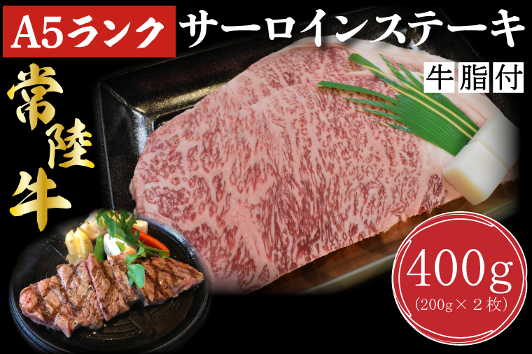 茨城県行方市のふるさと納税 DT-1【常陸牛A5ランク】サーロインステーキ　400ｇ（200ｇ×２枚）