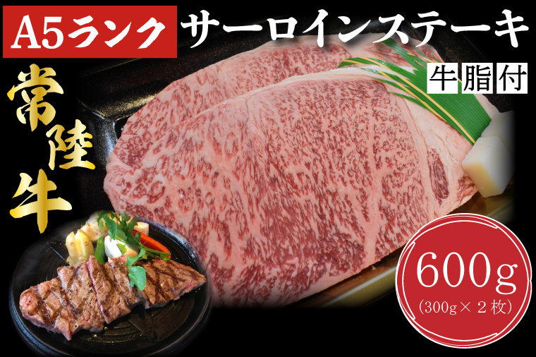 茨城県行方市のふるさと納税 DT-2【常陸牛A5ランク】サーロインステーキ　600ｇ（300ｇ×２枚）