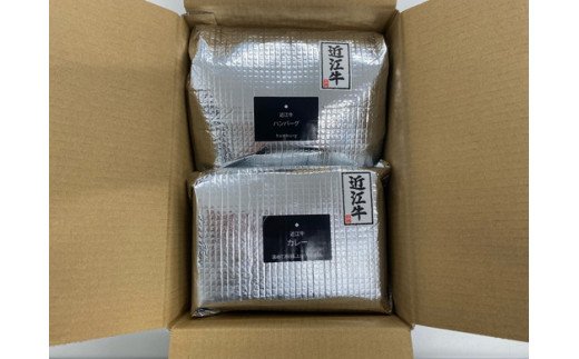 近江牛カレー（200ｇ×5パック）＆近江牛ハンバーグ（150g×6個）【AB78W】