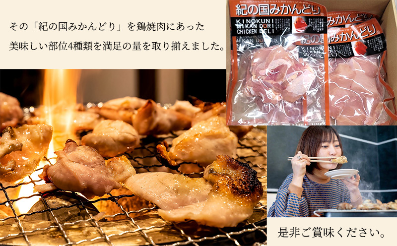 DO6002n_紀の国みかんどり 鶏 焼肉 セット【焼肉セット 焼鳥 焼き鳥 焼き肉】
