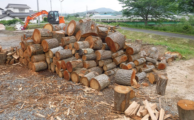 薪 広葉樹 ミックス キャンプ用 18～20kg アウトドア 乾燥薪 キャンプ用品 キャンプ 木材 たき火 焚火 