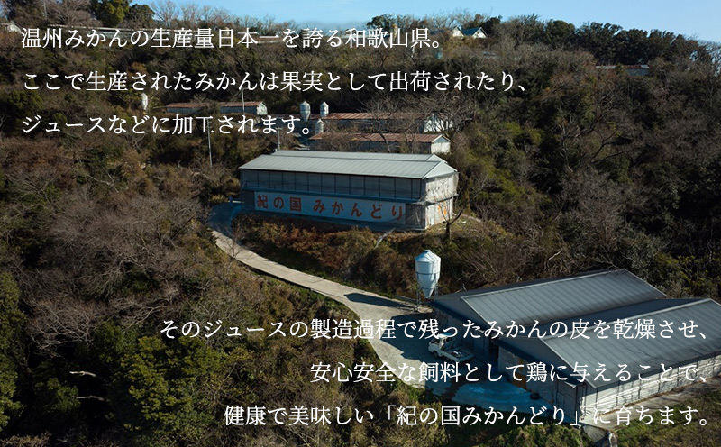 DO6003n_紀の国みかんどり 鶏 水炊き【鶏鍋 鶏すき 鍋セット】