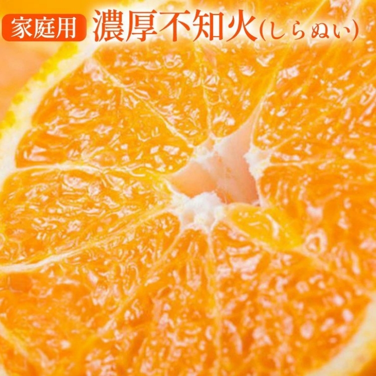 【和歌山県美浜町】【先行予約】 有田育ちの濃厚 不知火 (デコポン と同品種)(訳あり 家庭用) 約2kg◇ ※2026年1月下旬〜3月下旬頃に順次発送予定 ※北海道・沖縄・離島への配送不可