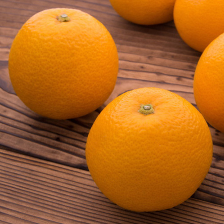 【農家直送】濃厚八朔（ご家庭用）3kg | 有田 柑橘 フルーツ みかん オレンジ 産地直送 はっさく