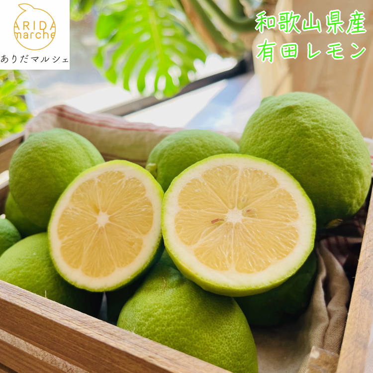 【和歌山県美浜町】【先行予約】【国産】農家直送! 有田レモン 2kg◇ ※北海道・沖縄・離島への配送不可 ※2025年9月下旬〜2026年3月下旬頃に順次発送予定