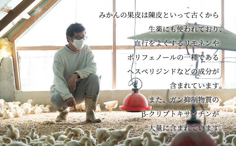 DO6006n_紀の国みかんどり フライドチキン【チキン 冷蔵 チルド 惣菜 弁当 おかず】