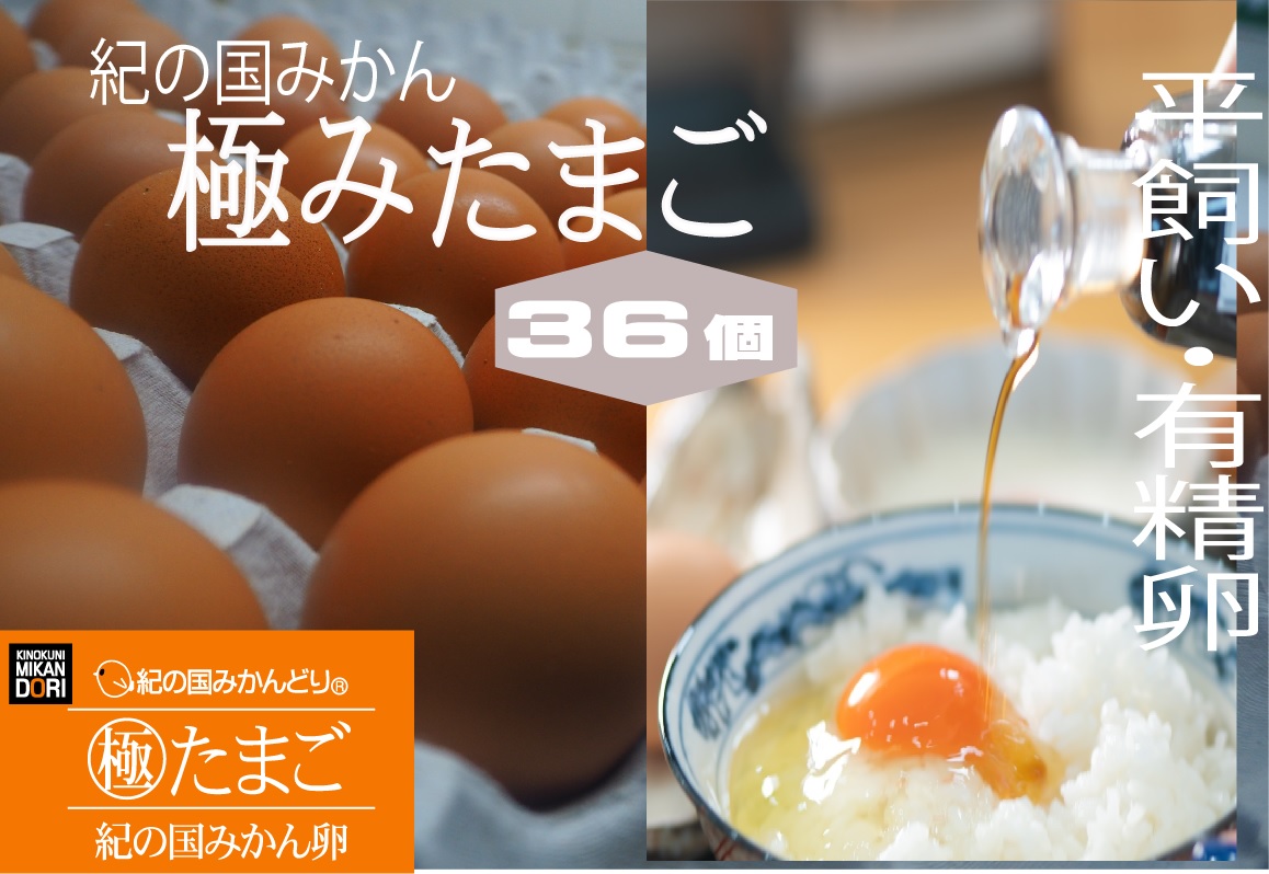☆茶3 時代 極上手 みかん香合 木箱付　高さ6.5cm東キ7-0511① DO6008_紀の国みかん 極みたまご 36個 | 和歌山県湯浅町ふるさと