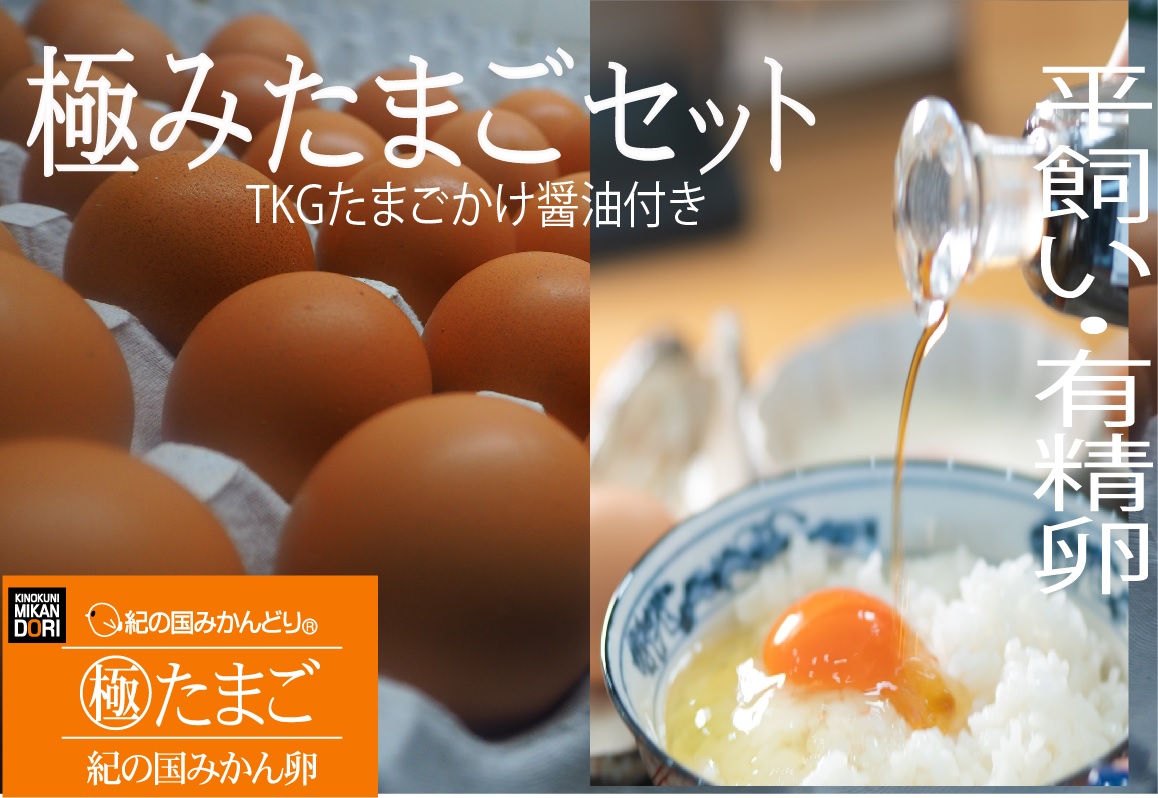 DO6009n_紀の国みかん 極みたまご TKGセット | 和歌山県湯浅町ふるさと