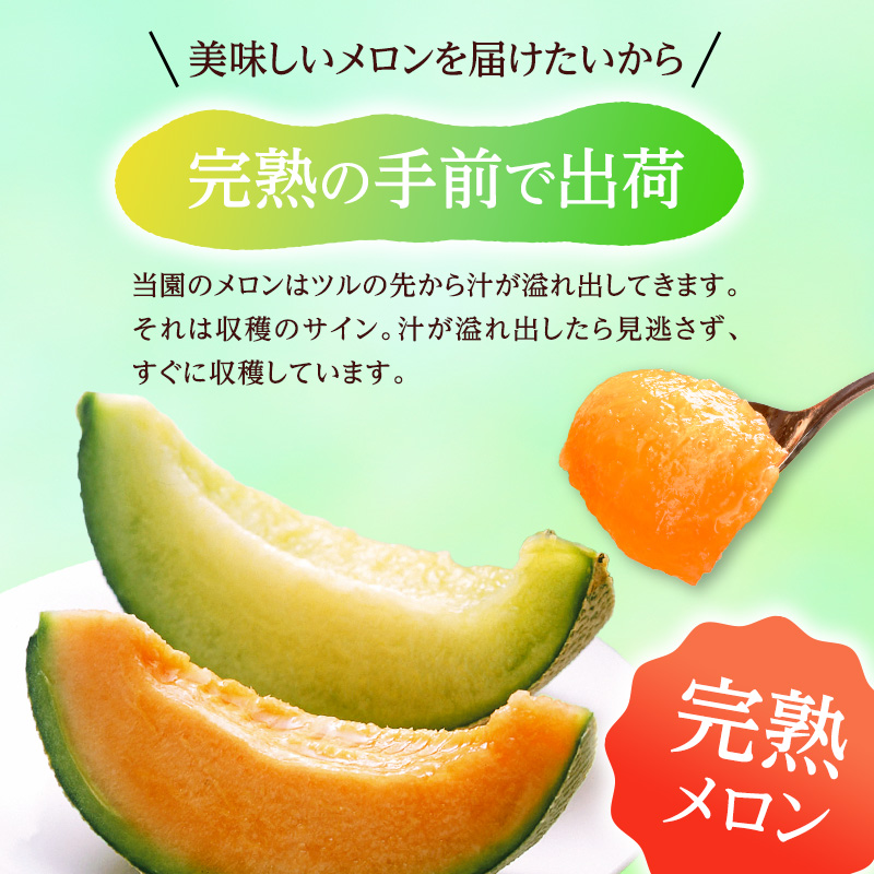【値下げ】果物　フルーツ　メロン　アールスメロン　青肉　9kg 先行予約】マスクメロン 青肉/赤肉 2色セット（1.5kg以上 2玉入