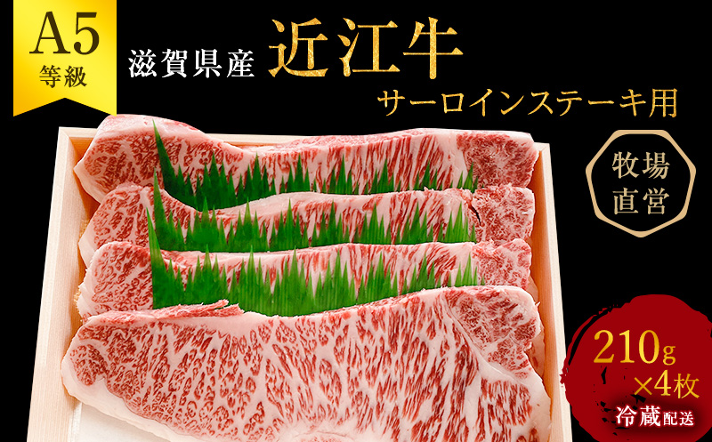 滋賀県豊郷町のふるさと納税 【近江牛 西川畜産】A5ランク雌牛　サーロインステーキ用　約210g×4枚 ふるさと納税 a5 お肉 牛肉 ブランド牛