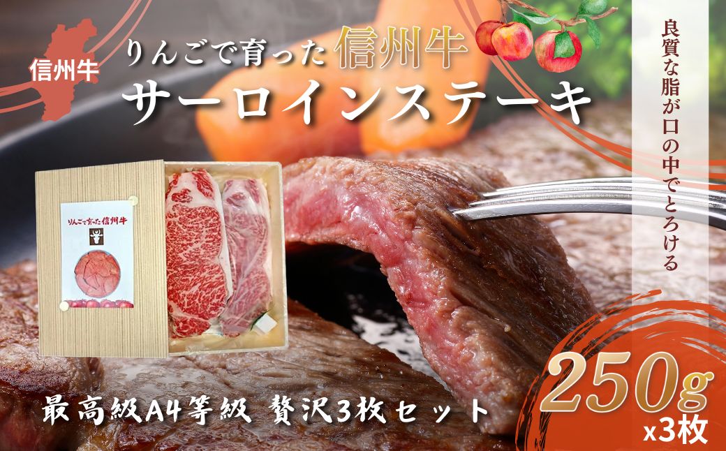 【りんごで育った信州牛】ステーキ用3枚入り【 牛肉 信州牛 サーロインステーキ 黒毛和牛 A4 サーロイン ステーキ 肉 お肉 牛 和牛 焼肉 焼き肉 BBQ バーベキュー ギフト 冷蔵 長野県 長野 】 