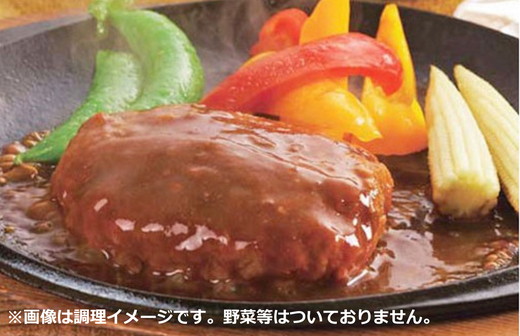 【総本家肉のあさの】近江牛ハンバーグ【600ｇ（120ｇ×5個）】【AE14W】