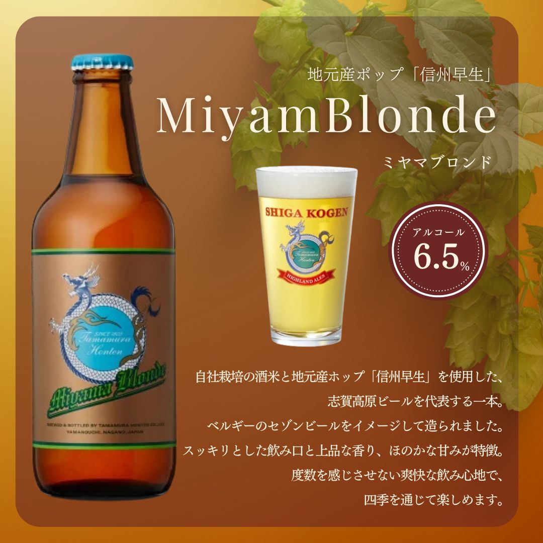 玉村本店 志賀高原ビール6本セット 【 クラフトビール 志賀高原ビール 飲み比べセット ビール 詰め合わせ セット 地ビール 飲み比べ 黒ビール IPA ipa ペールエール ギフト 酒 お酒 アルコール 飲料 志賀高原 長野県 長野 】 