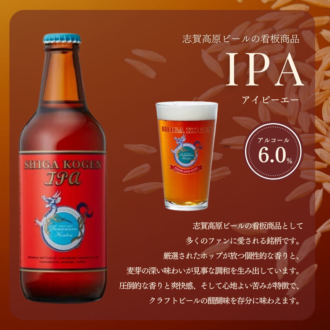 玉村本店 志賀高原ビール6本セット 【 クラフトビール 志賀高原ビール 飲み比べセット ビール 詰め合わせ セット 地ビール 飲み比べ 黒ビール IPA ipa ペールエール ギフト 酒 お酒 アルコール 飲料 志賀高原 長野県 長野 】 
