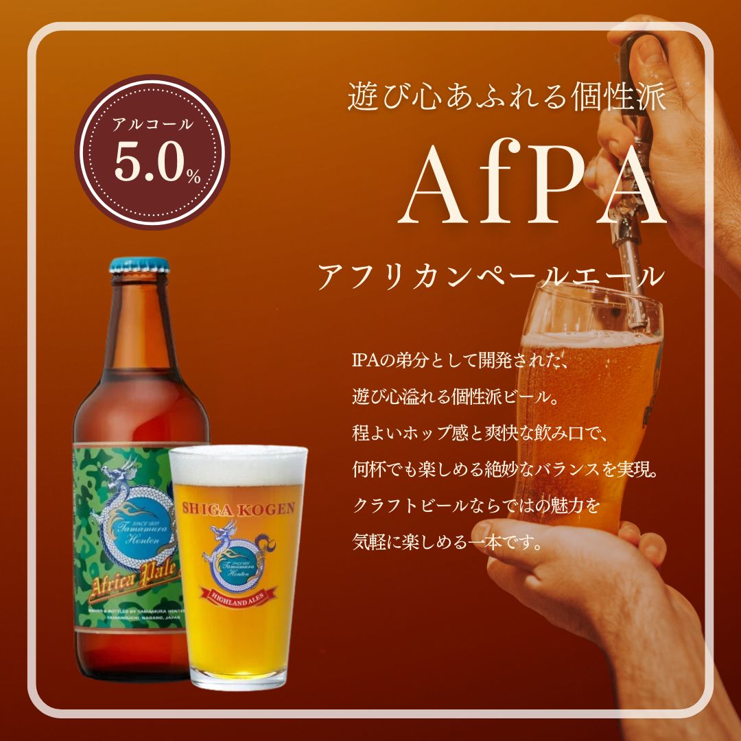 玉村本店 志賀高原ビール12本セット 【 クラフトビール 志賀高原ビール 飲み比べセット ビール 詰め合わせ セット 地ビール 飲み比べ 黒ビール IPA ipa ペールエール ギフト 酒 お酒 アルコール 飲料 志賀高原 長野県 長野 】 