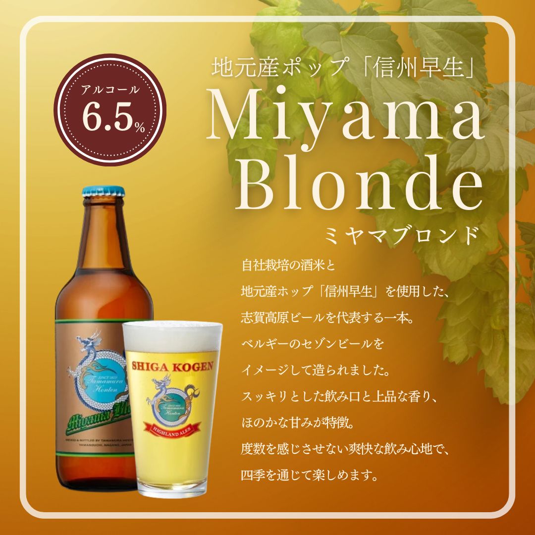 玉村本店 志賀高原ビール12本セット 【 クラフトビール 志賀高原ビール 飲み比べセット ビール 詰め合わせ セット 地ビール 飲み比べ 黒ビール IPA ipa ペールエール ギフト 酒 お酒 アルコール 飲料 志賀高原 長野県 長野 】 
