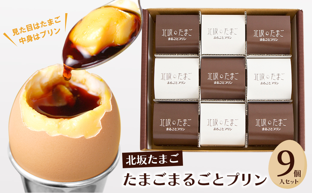 yɌWHszk₽܂܂邲ƃvXZbg