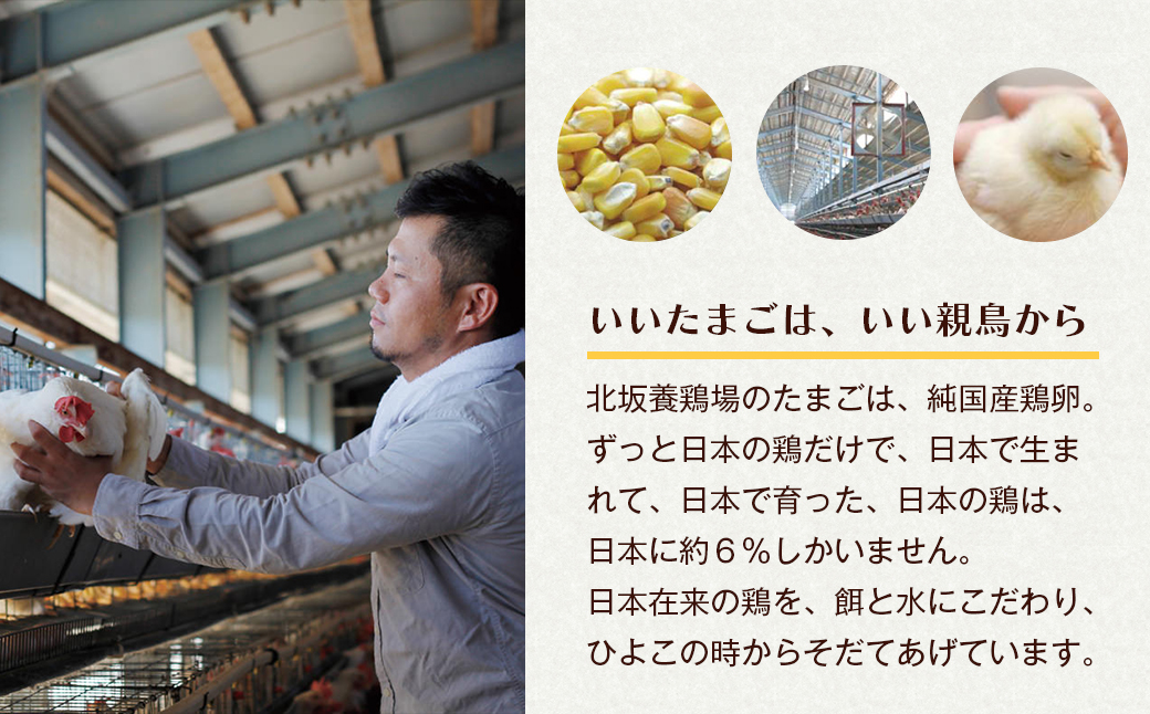 淡路島もみじ・淡路島さくら　詰め合わせ　　[たまご 鶏卵 濃厚 たまごかけごはん 生卵]