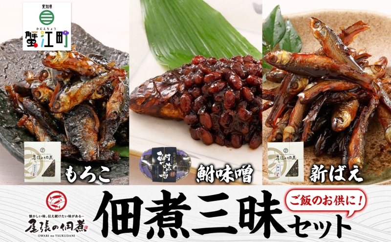 【ふるさと納税】佃煮三昧セット もろこ 新ばえ 鮒味噌 加工食品 郷土料理 惣菜 魚介類 フナ ふな おかず つまみ お取り寄せ詰め合わせ ギフト 送料無料 愛知県 蟹江町