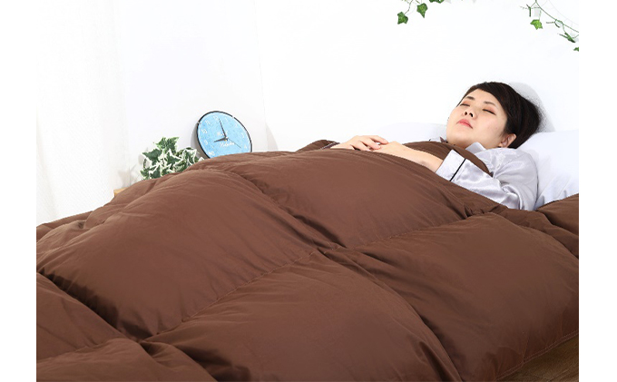 羽毛布団シングル掛け布団日本製ダウン90％1.2kg立体スクエアキルト8か所ループ付きブラウン 寝具 軽量 抗菌 消臭 立体キルト 茶色 