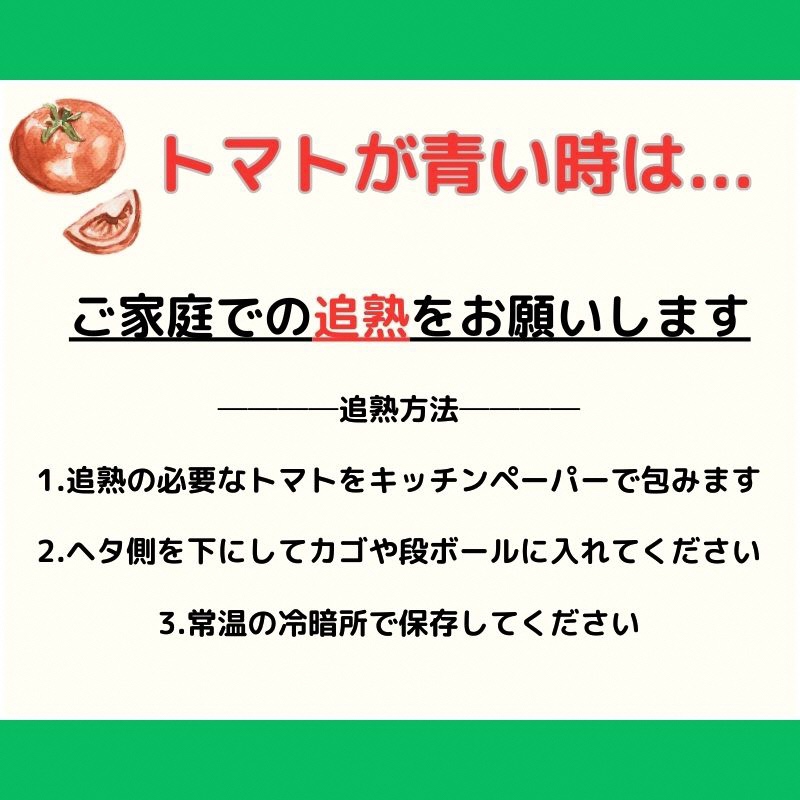 京都府南山城村のふるさと納税 【旬な時期にお届け♪7月下旬より随時配送】内藤おじちゃんが育てる採れたて新鮮な童仙房高原トマト2kgセット◎エコファーマー認定者◎京都府南山城村産 野菜 夏野菜 リコピン サラダ 緑黄色野菜