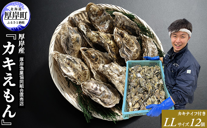 【北海道厚岸町】厚岸産 ブランドかき カキえもん LLサイズ 12個  牡蠣 魚介類